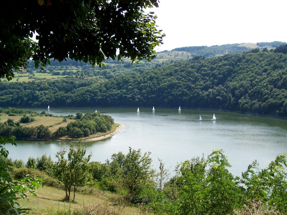 O Fil De L'Eau - Gite En Bord De Lac Saint-Jean-Saint-Maurice-sur-Loire Exteriér fotografie