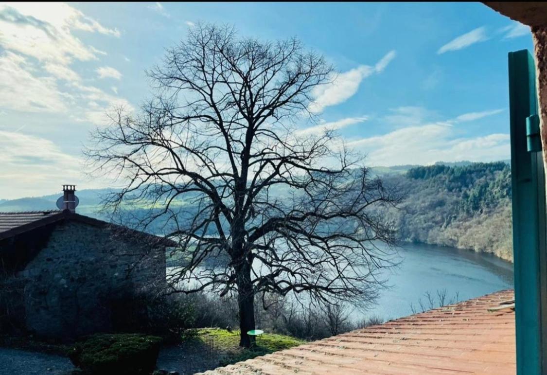 O Fil De L'Eau - Gite En Bord De Lac Saint-Jean-Saint-Maurice-sur-Loire Exteriér fotografie